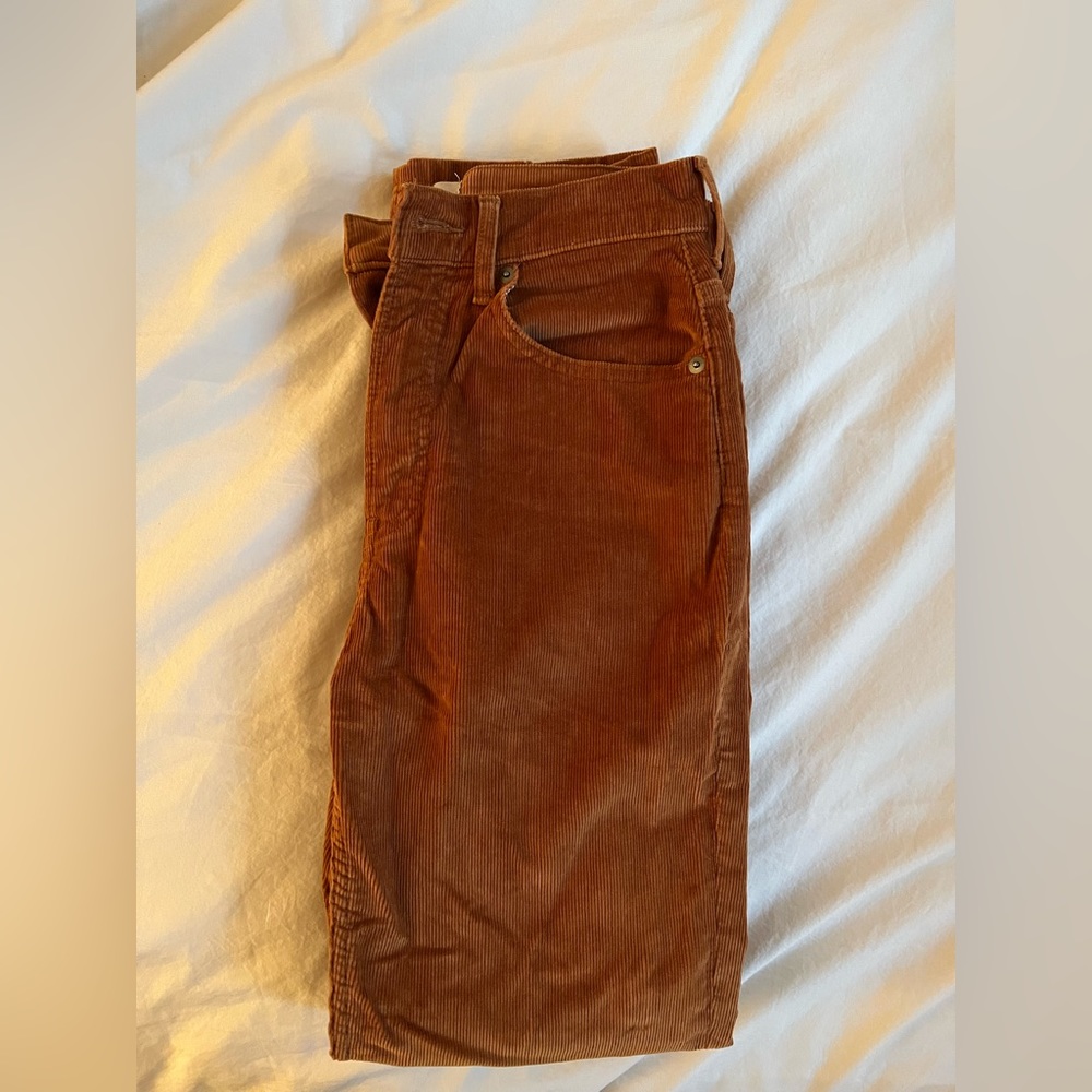 Everlane Brown Corduroy Pants